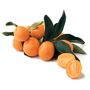 Fruit Game Option - Kumquat