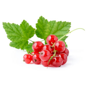 Fruit Game Option - Redcurrant