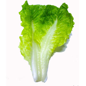 Vegetable Game Option - Lettuce