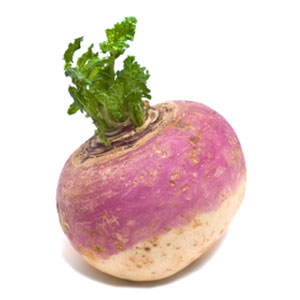 Vegetable Game Option - Turnip